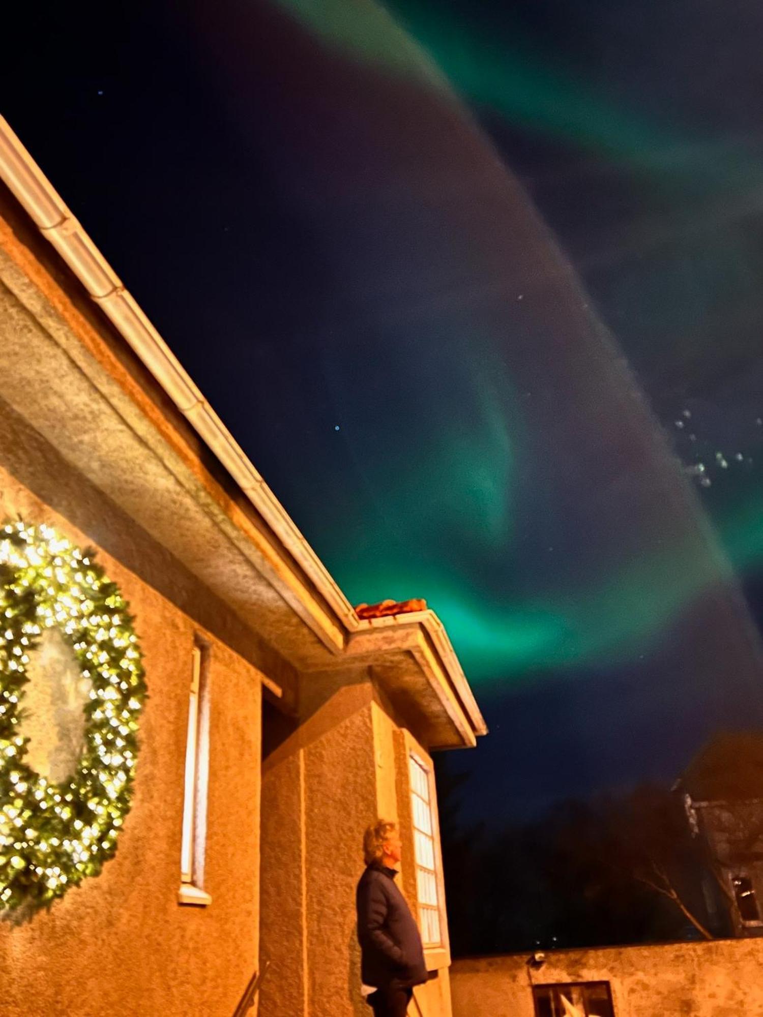 Casa Disa - Dreams, A Boutique Guesthouse In Reykjavik City'S Central Park And Botanical Garden In Laugardalur, Hot-Spring-Valley Kültér fotó