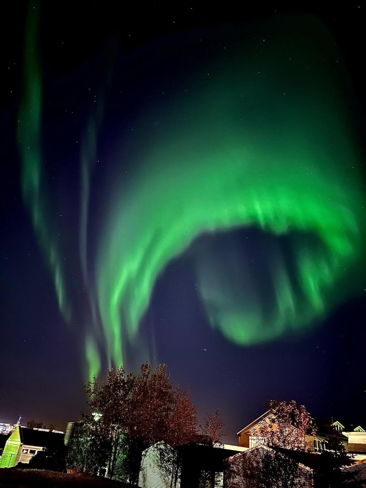 Casa Disa - Dreams, A Boutique Guesthouse In Reykjavik City'S Central Park And Botanical Garden In Laugardalur, Hot-Spring-Valley Kültér fotó