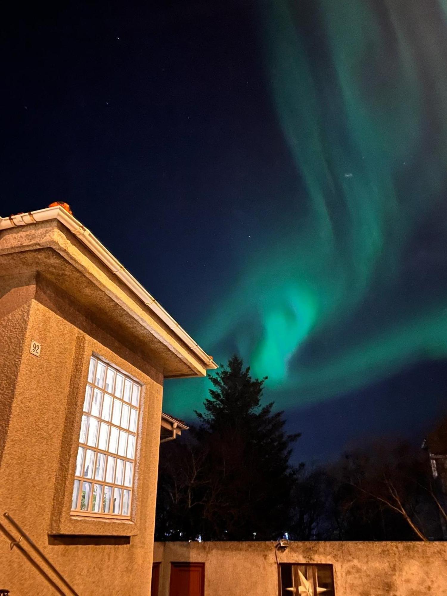 Casa Disa - Dreams, A Boutique Guesthouse In Reykjavik City'S Central Park And Botanical Garden In Laugardalur, Hot-Spring-Valley Kültér fotó
